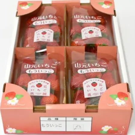 山元いちご農園 朝採りいちご もういっこ 1.0kg(250g×4パック)【配送不可地域：離島・沖縄県・九州】【1475586】
