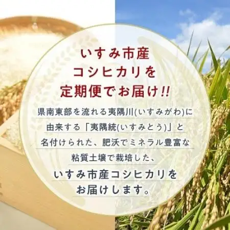 【発送月固定定期便】千葉県いすみ市産コシヒカリ 10kg(5kg×2袋)全6回【4094374】