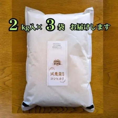 R8年産 濃厚な甘み! 岩船産コシヒカリ 精米6kg(2kg×3袋)[農家民宿おくやま]【1789689】