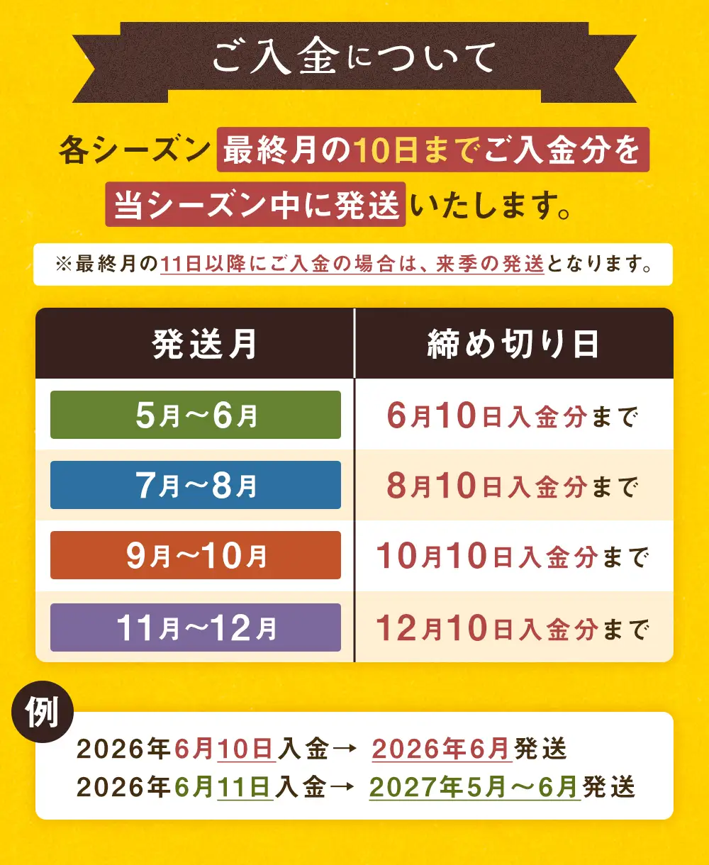 【5月～6月発送】 旬の果物 詰め合わせ セット 福岡県産 フルーツ 季節 果物