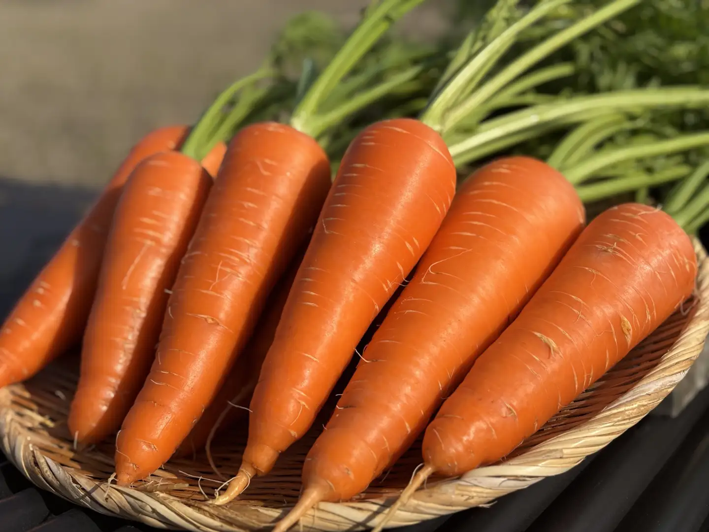 無農薬 無化学肥料 無除草剤 冬のお野菜セット（旬の有機野菜5～10種類前後）_Z2600058