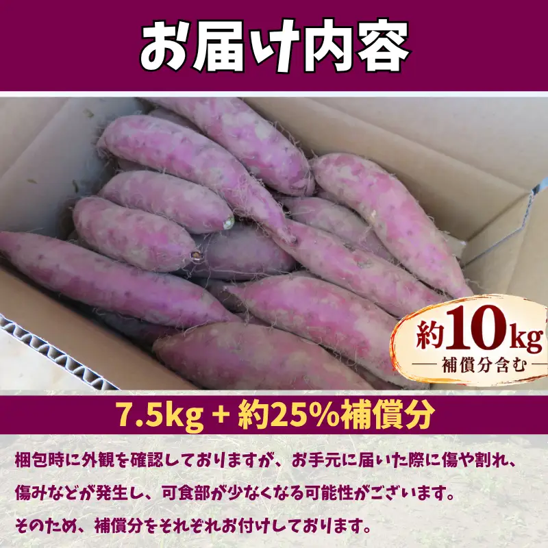 さつまいも 訳あり 紅はるか 約10kg 【さつまいも】