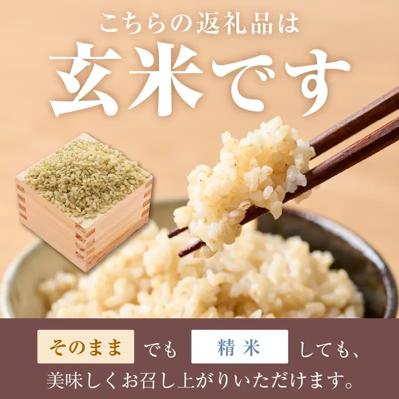 【令和8年産】みなよし米【市原産コシヒカリ(玄米)】20kg