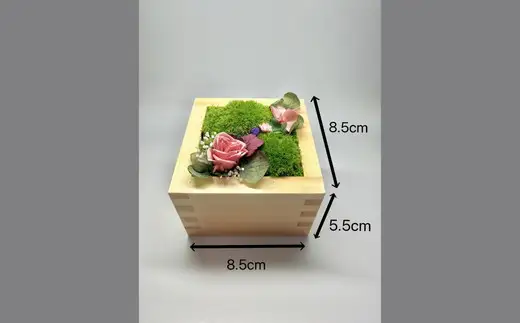 升コケ‐大‐(インテリア グリーン 観葉 植物苔 こけ コケ)【002426】