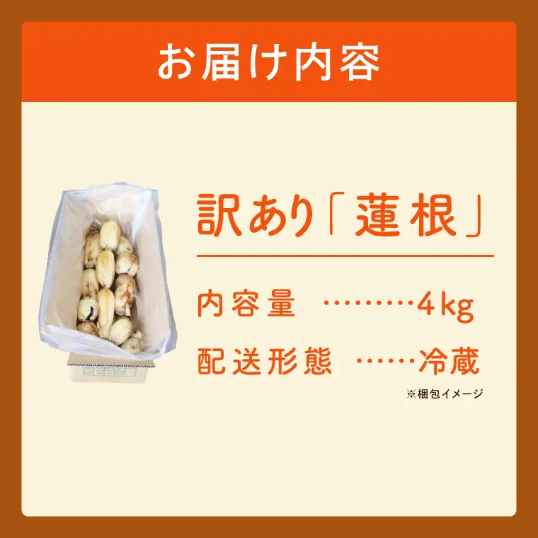 訳あり れんこん 4kg 蓮根 レンコン 野菜 エコ栽培 国産 茨城県産 茨城県 阿見町 新鮮 農家直送 産地直送 （89-04）