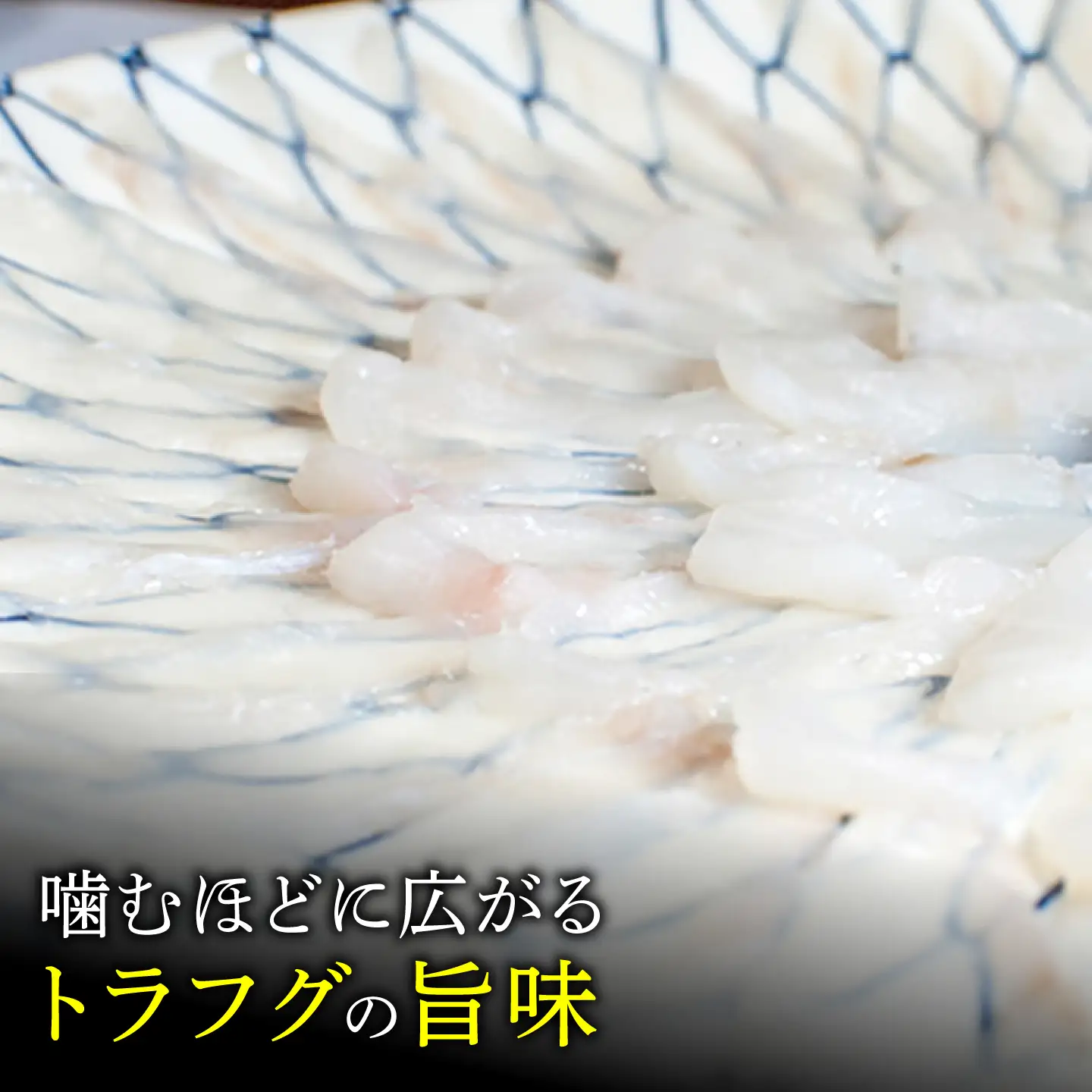 【大晦日お届け】ふぐ刺し・スッポン鍋セット5～6人前 / 鍋 フグ すっぽん / 南島原市 / 大和[SCJ038]