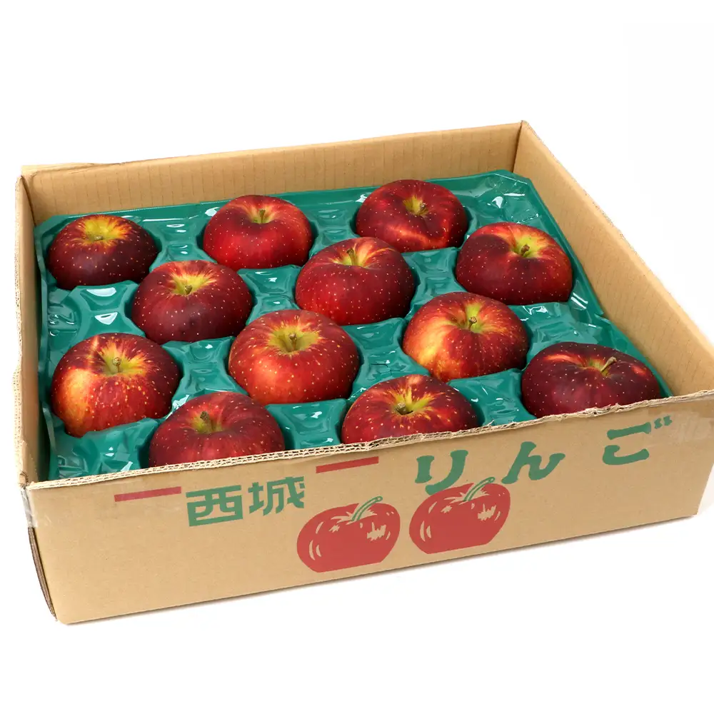 【ふるさと納税】庄原市西城町産 りんご（合計5kg）│産地直送 りんご リンゴ 林檎 広島県 庄原市 西城町 TO-1