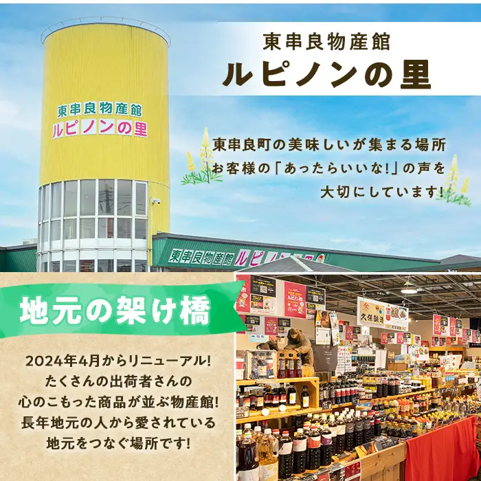 【0075941a】《先行予約受付中！2027年5月以降発送》物産館おススメ！東串良町産小玉スイカ(マダーボール)(2玉) スイカ 小玉 小玉スイカ 小玉すいか すいか 西瓜 果物 フルーツ マダーボール 【東串良物産館ルピノンの里】