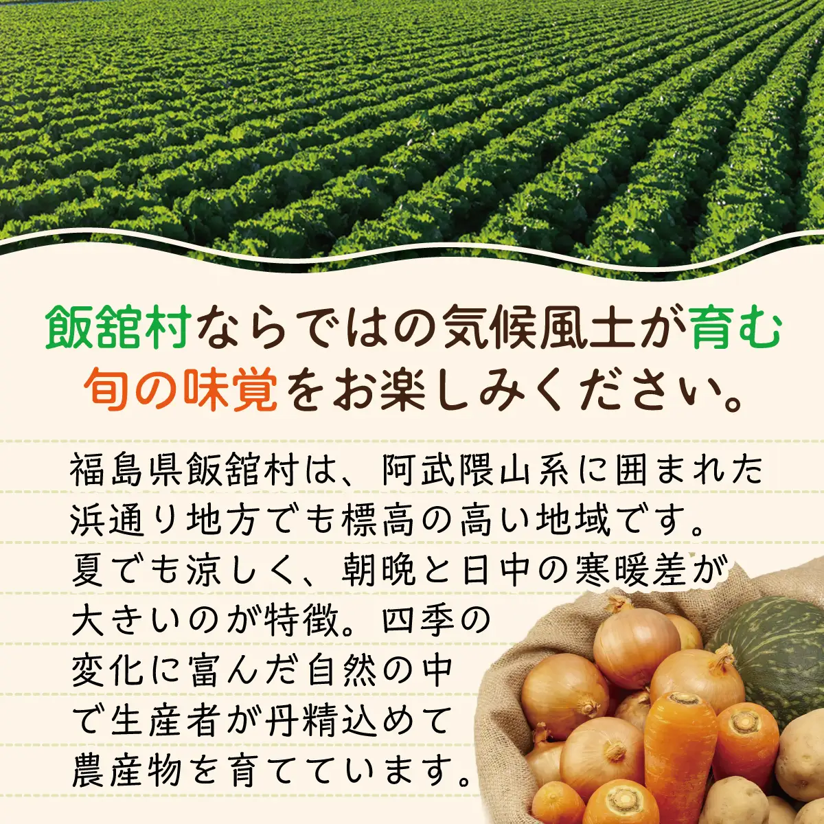 飯舘村 旬の農産物詰め合わせ ITTAM010