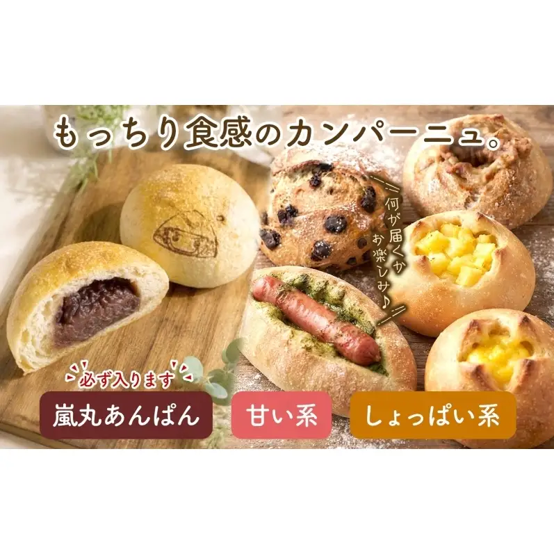 おまかせ3種 カンパーニュ （小） セット 各2個 計6個 こだわり ぱん パン あんぱん 朝食 おやつ 小麦 農林61 ふすま 生地 醗酵 濃厚 芳醇 香り もっちり 食感 ハード系 ぱん工房 たろたろ 埼玉県 嵐山町