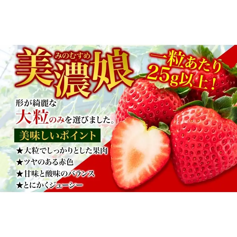 いちご 美濃娘 6粒 150g以上 苺 イチゴ フルーツ 旬 甘い 果物 みのむすめ 国産 おやつ デザート ギフト プレゼント ダイヤベリー美濃 岐阜県 美濃市 お届け:2027年1月1日～3月10日