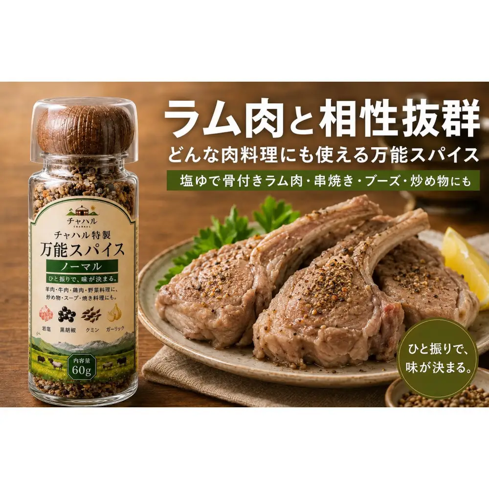 チャハル特製スパイス（ノーマル）60g×2個