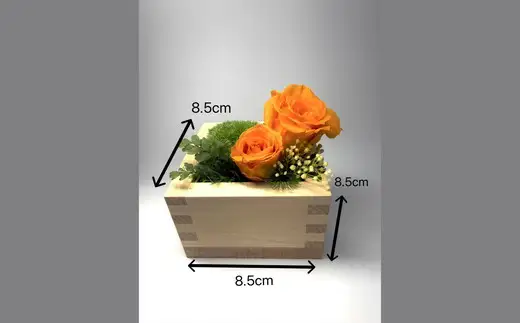 升コケ‐バラ‐(インテリア グリーン 観葉 植物苔 こけ コケ)【002429】