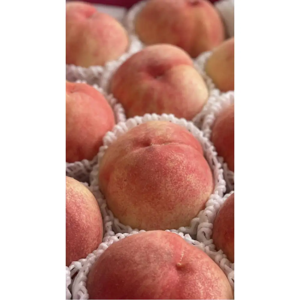 【桃】小玉　約1.2kg　8－11玉（2027年６月中旬より発送）