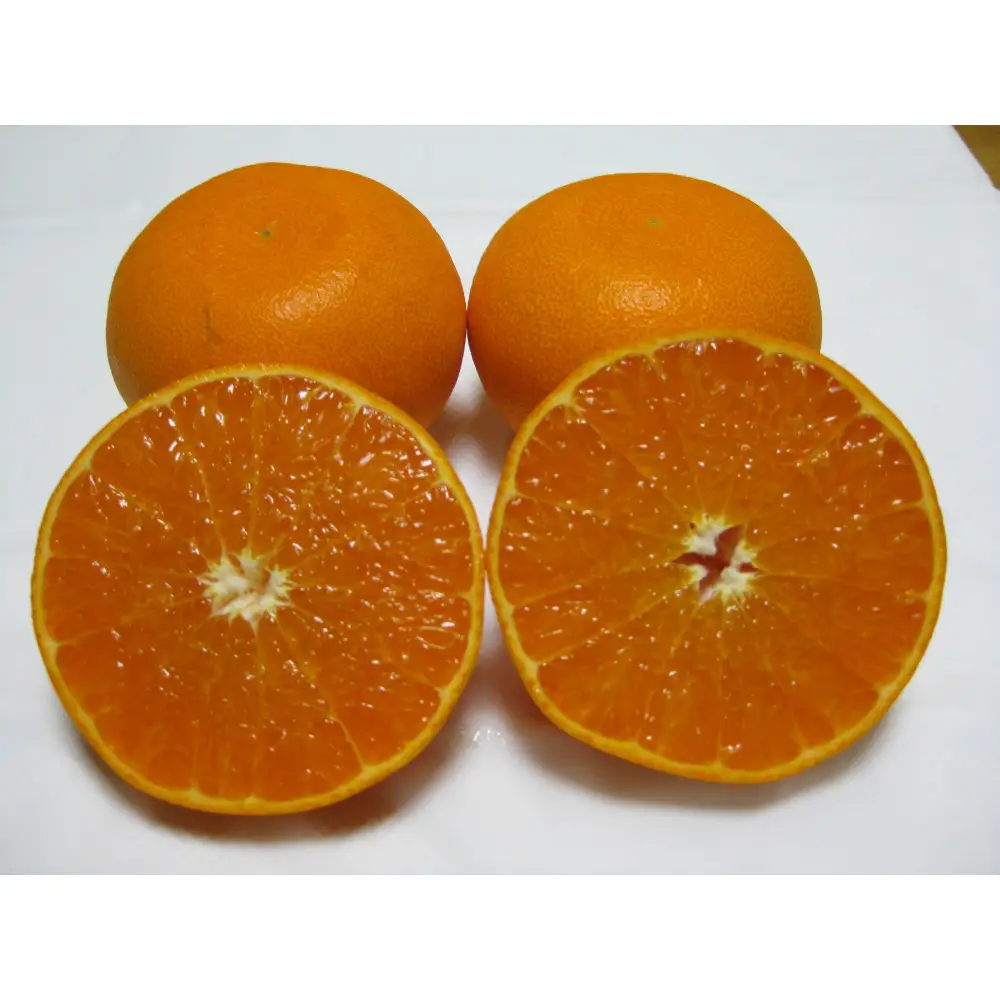 せとか　約３kg（2月上旬以降発送）