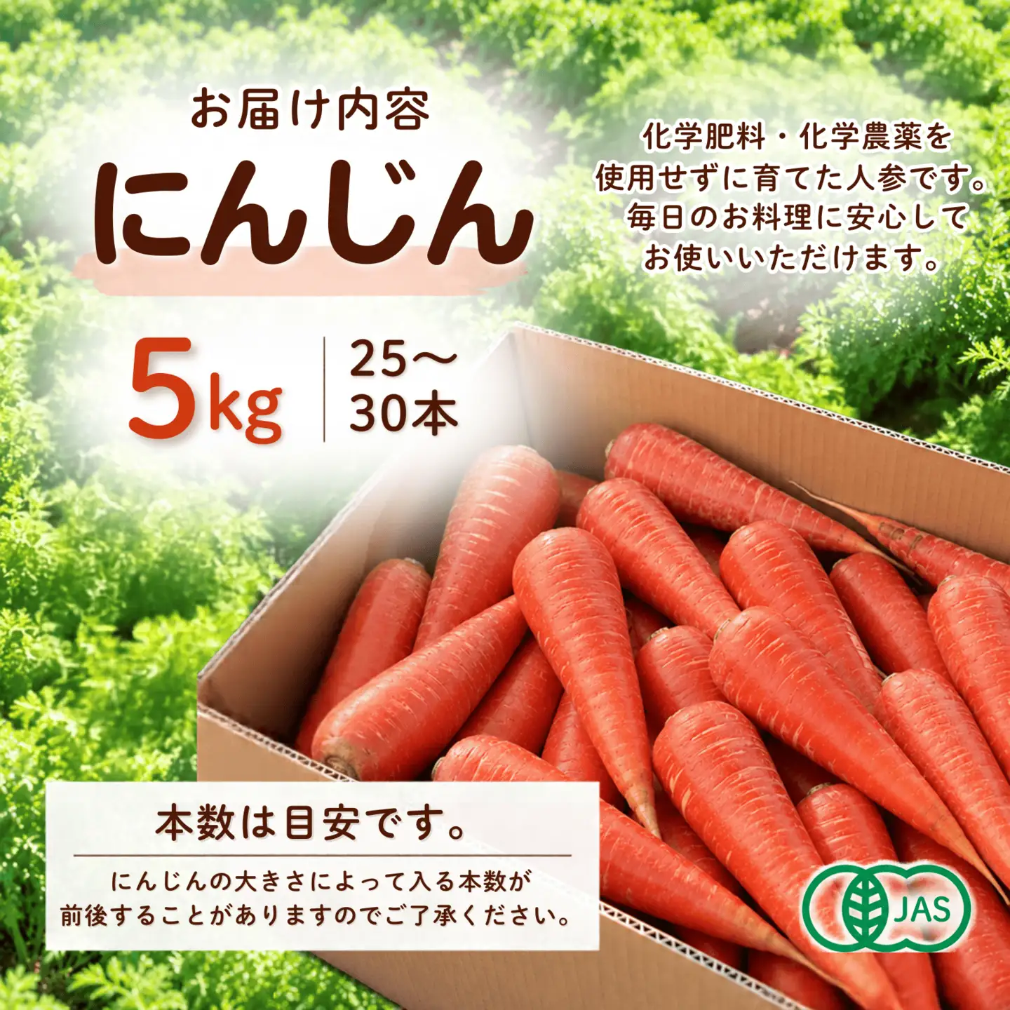 やまもと農産の人参 『京くれない』 5kg
