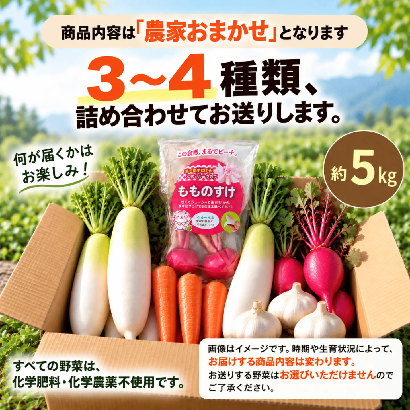 やまもと農産のオーガニック野菜詰め合わせ 約5kg