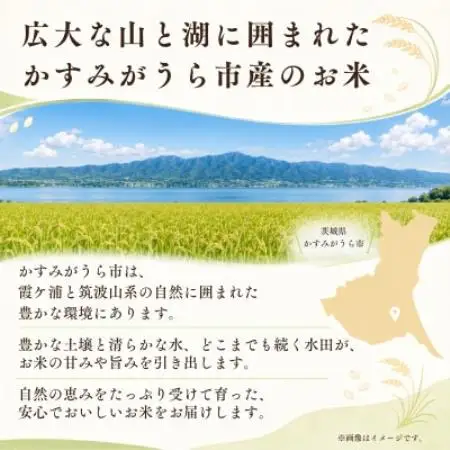 【毎月定期便】お米屋さんのにじのきらめき 精米 10kg(5k×2袋) 全6回【4094567】