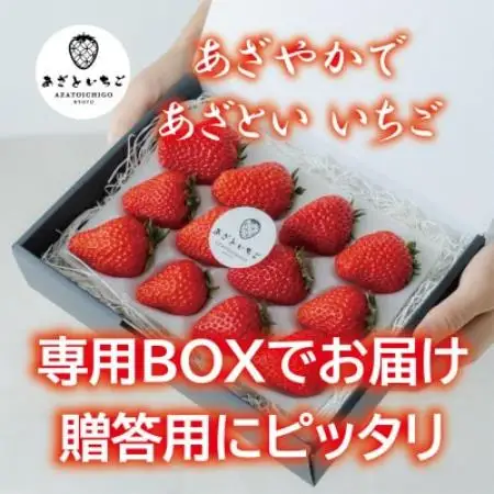 【2027年1月～順次出荷】あざといちご贈答用　8.9.11粒のいずれか×2P　ロックファーム京都【配送不可地域：離島・北海道・沖縄県】【1786955】
