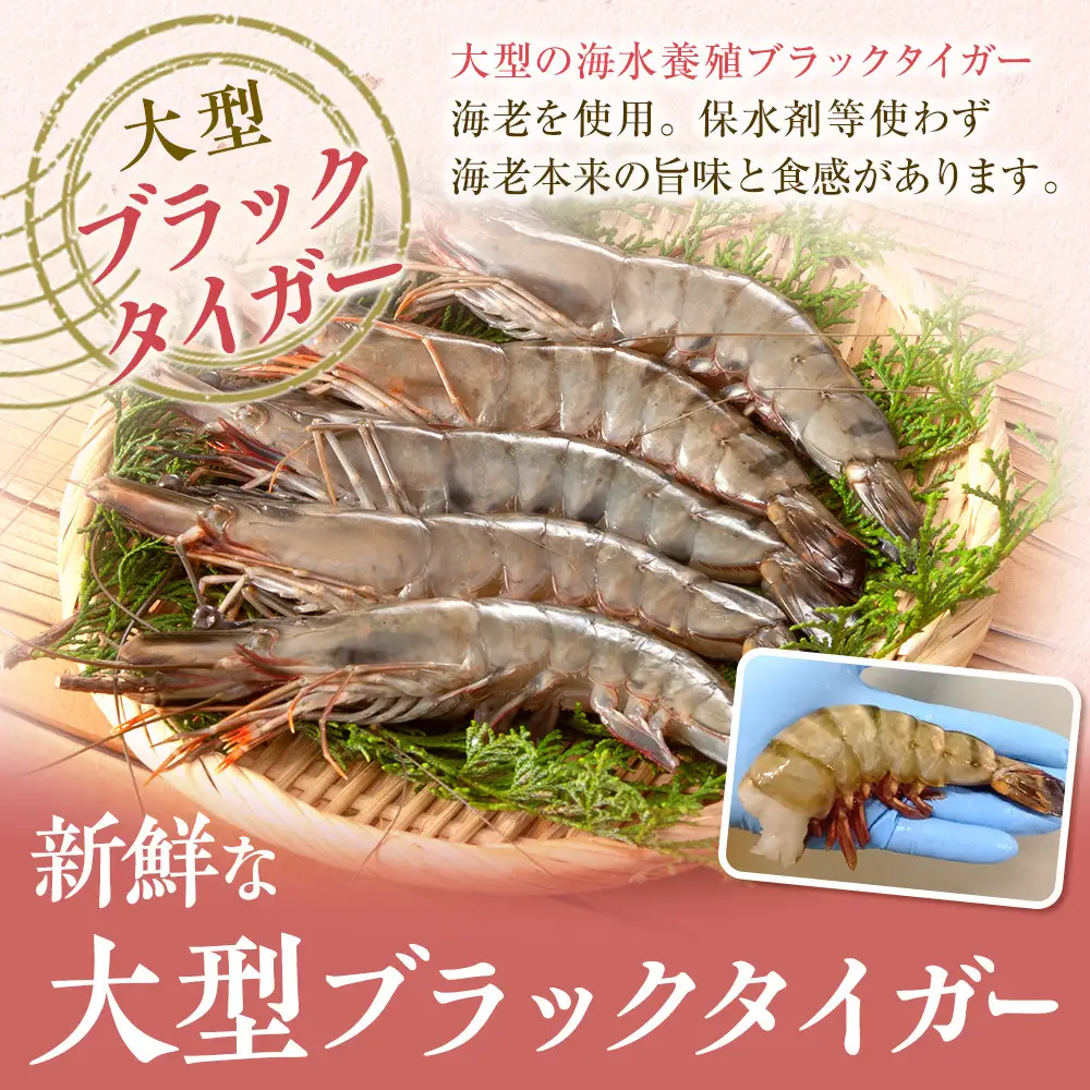大判海老フライ　約600g（5尾×2P）