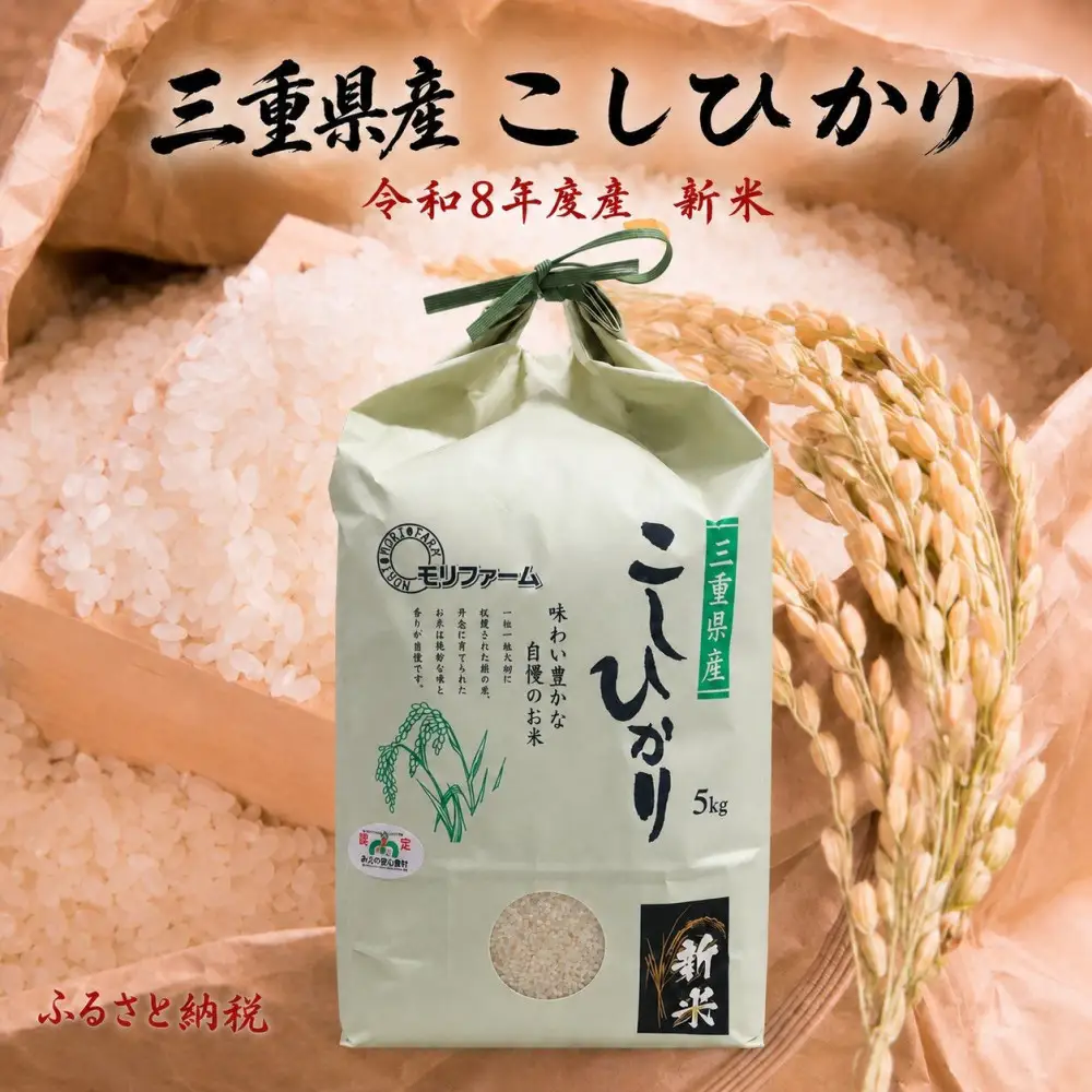 （定期便3回）R8年産コシヒカリ10kg（5kg×2袋）