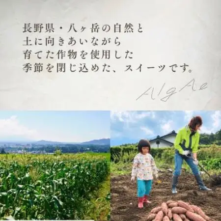 八ヶ岳・AlgAe バスクチーズケーキ プレーン 4号【配送不可地域：離島】【1789799】