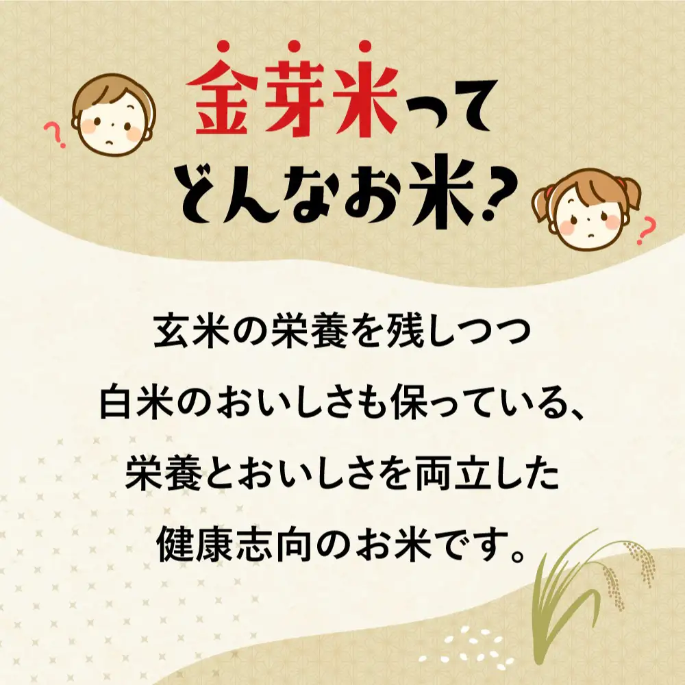 【加美×尾花沢 ルート347コラボA】栄養と旨みの金芽米5kg×極上の旨み尾花沢牛100％ハンバーグ 4個入(簡易包装) njkm-hmk440knm05