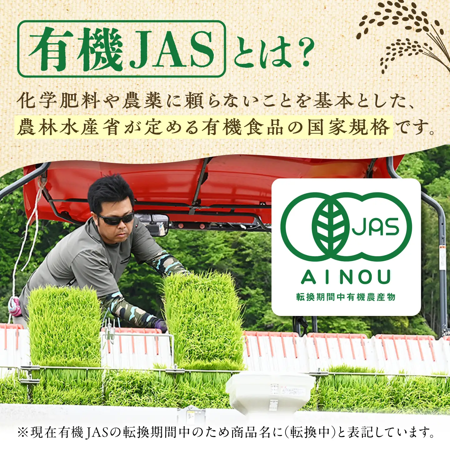 【令和8年産】ミルキークイーン 10kg 無洗米 [AZBW013] 無洗