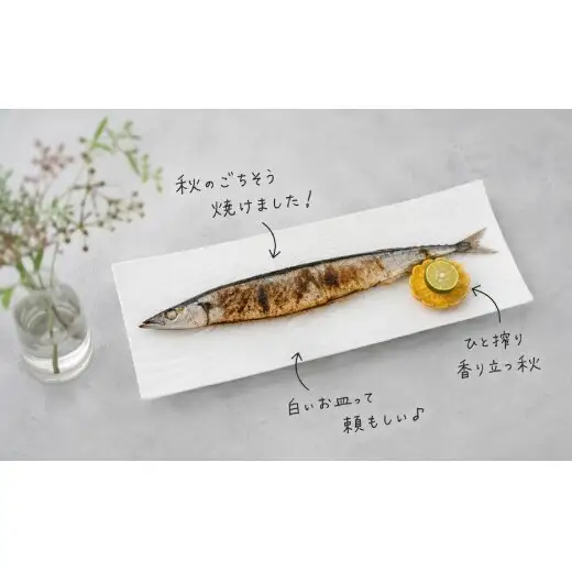 有田焼 白磁長角皿と金彩花豆小皿セット【深海三龍堂】 長皿 長角皿 和食器 食器 おしゃれ さんま皿 白い皿 白い食器 食洗機対応 ay118