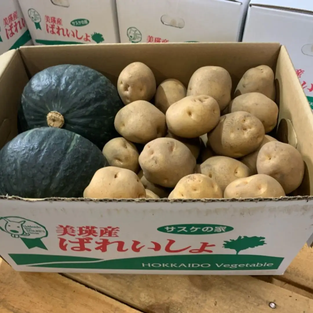 【令和9年産 先行予約】じゃがいも かぼちゃ 10kg 詰め合わせ セット 秋野菜セット サスケの家