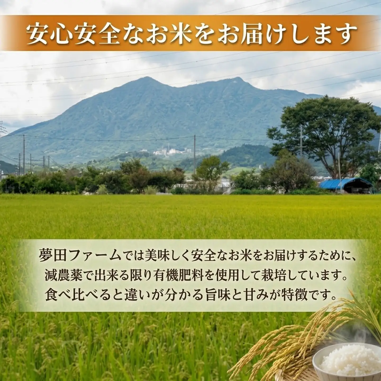 【3ヵ月定期便】令和8年産 米 ミルキークイーン 15kg ミルキー 夢田ファーム