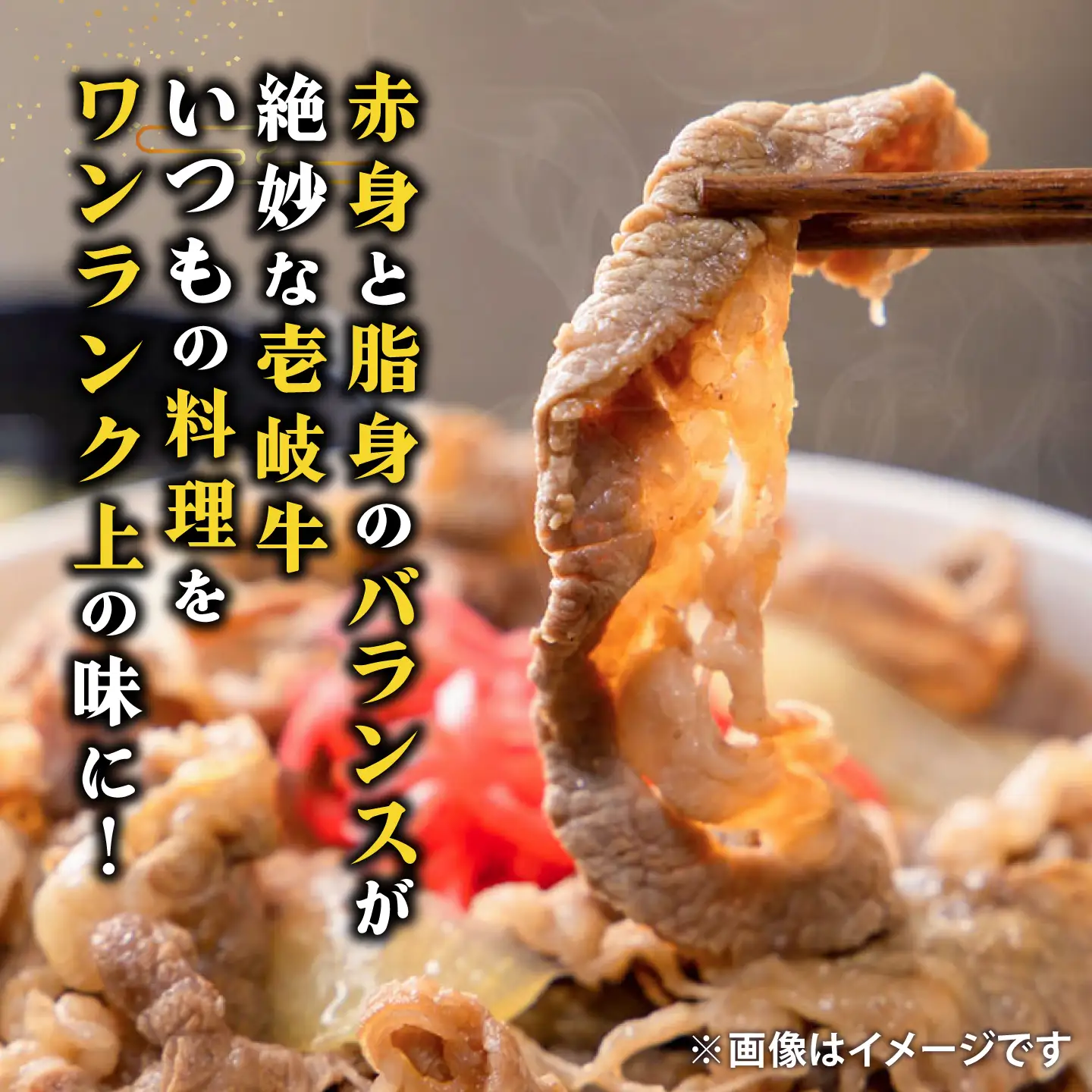 切り落とし 壱岐牛 500g [JDD043] 切り落とし 小分け