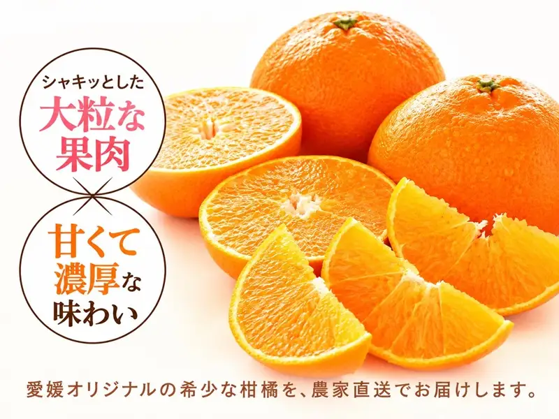 【2027年2月上旬から順次発送予定】甘平 2.5kg M〜3Lサイズ混合｜B579