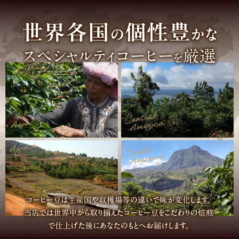 風味際立つ 手鍋焙煎コーヒー 豆～中米編～ （豆） 100g×2袋 _SC0308
