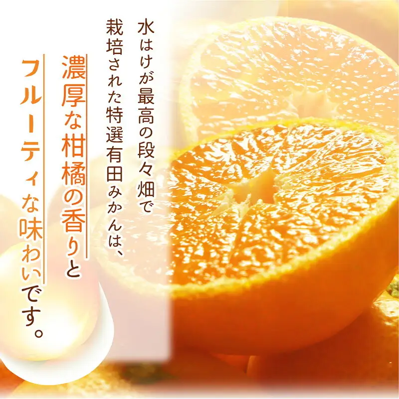 和歌山県産 有田みかん【訳あり 家庭用】約2kg 小玉 3S～Sサイズ おまかせ_DI6064