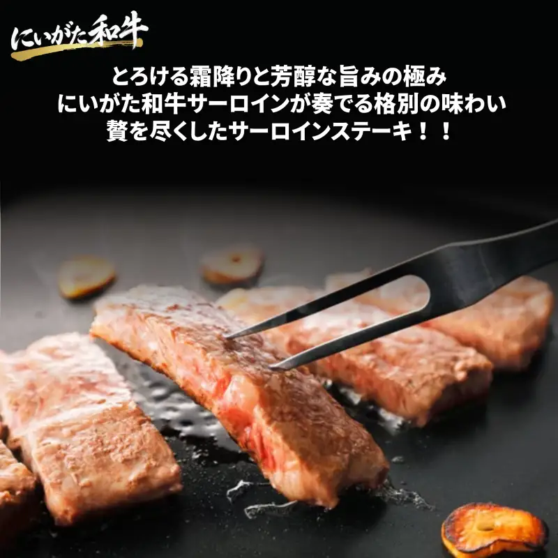 肉 和牛 サーロインステーキ 500g にいがた和牛 黒毛和牛 牛肉 ギフト 贈答用 300g×2袋 グルメ お取り寄せ 新発田市産 ごちそう 精肉 新潟県 新発田市 yoneichi014