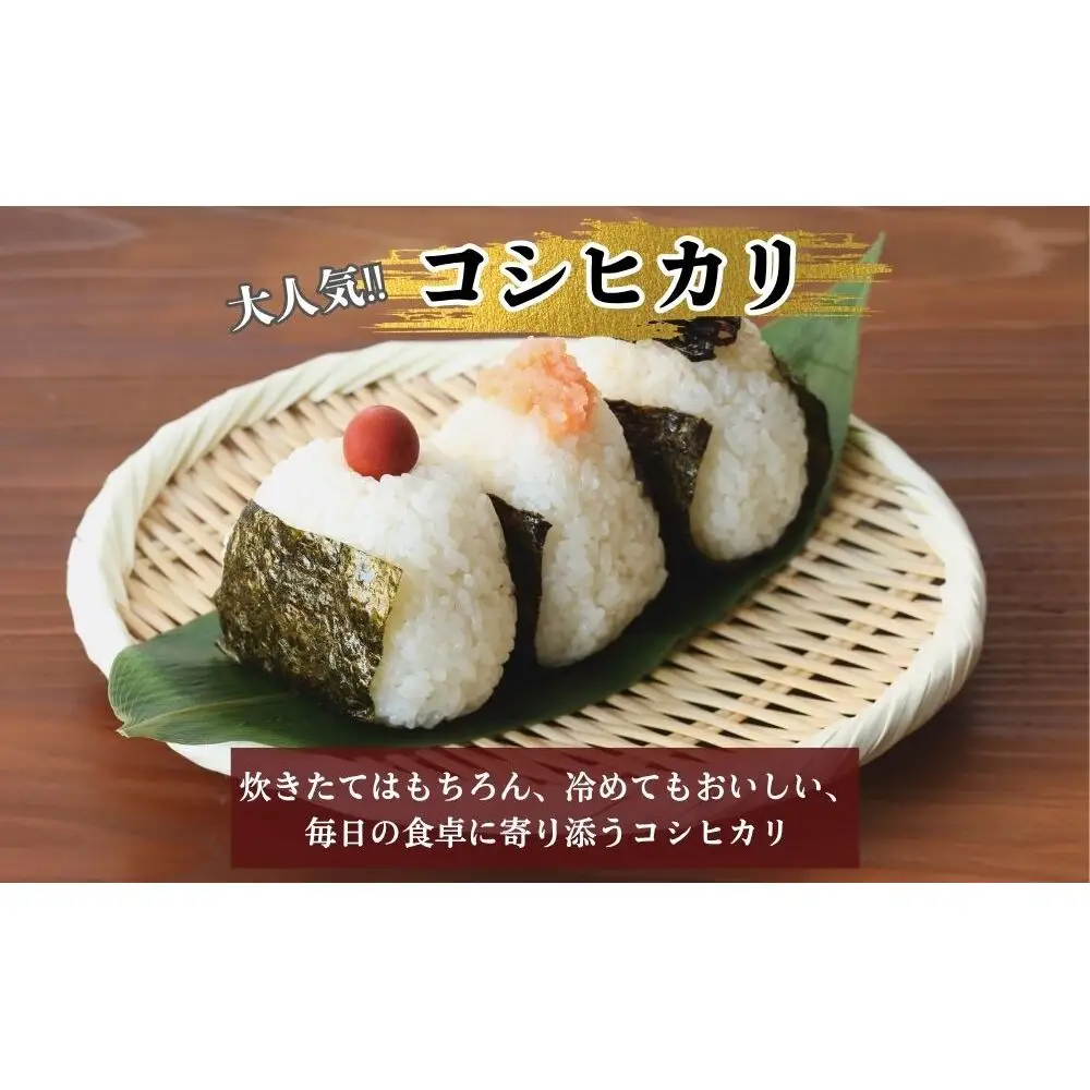 ＜定期便3回＞【令和8年産】コシヒカリ 白米5kg 特別栽培米 / 米 こめ お米 精米済 ブランド 美味しい 人気 おすすめ 新米 奈良県 宇陀市 米工房はやし ふるさと納税