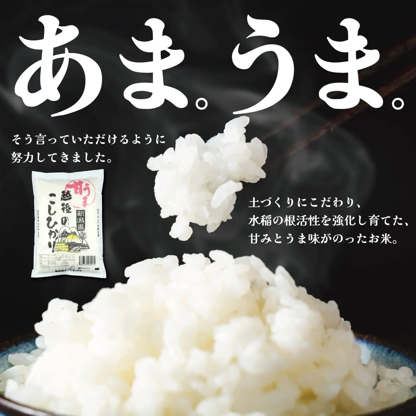 【令和8年産定期便】 3ヶ月 定期便 コシヒカリ 白米 5kg 3ヵ月 15kg 令和8年産 甘うま越後の こしひかり 米 お米 こめ 新潟米 新潟県産 新潟産 新潟 新潟県 新発田産 新発田 新発田市 斗伸 toushin077_01