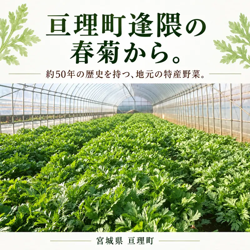 春菊パウダー 60g 1個 野菜パウダー 春菊粉末 しゅんぎく 料理素材 お菓子作り パン作り スープや生地への混ぜ込みに