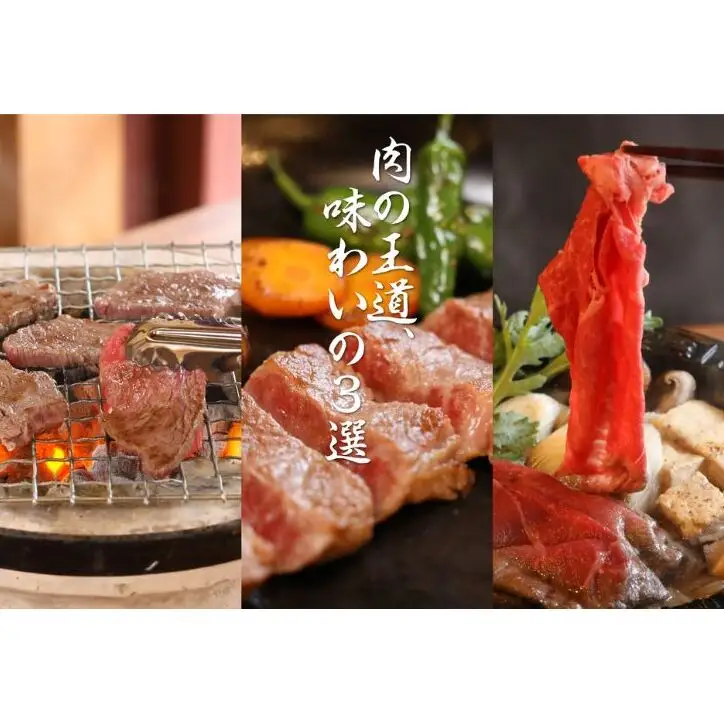 【至高の黒毛和牛】 若狭牛セット すき焼・しゃぶしゃぶ用 霜降りと赤身の絶妙なバランス 厳選ブランド牛 福井県産 切り落とし 赤身 厚切り 冷凍 国産 ステーキ すきやき にく