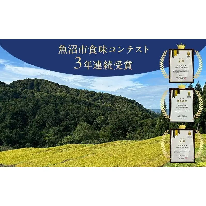 【ふるさと納税】＼金賞米を玄米で定期便／魚沼市食味コンテスト 金賞2回・3年連続受賞 雪の恵 魚沼産コシヒカリ 玄米30kg 3ヶ月毎 全2回 令和8年産 頒布会 米 お米 こしひかり 新潟 魚沼市
