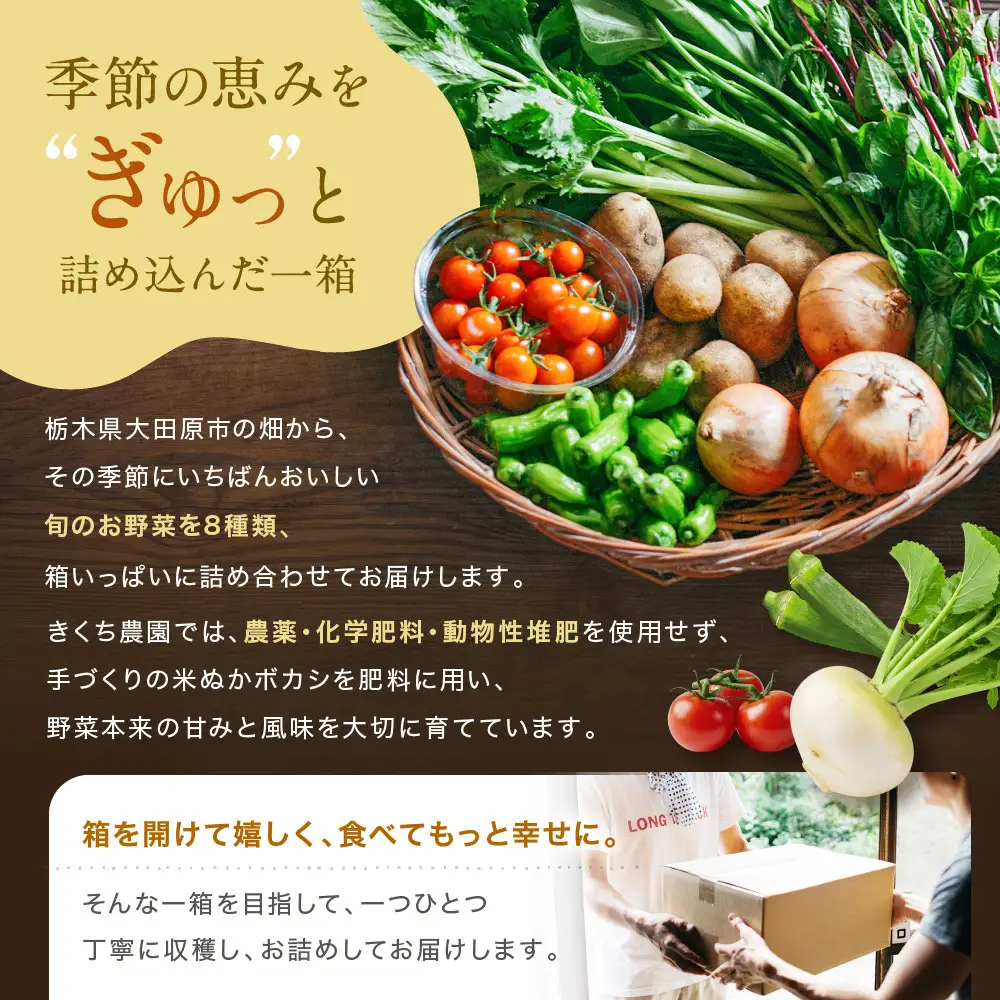 農家からお届け！旬のお野菜たっぷり8種セット
