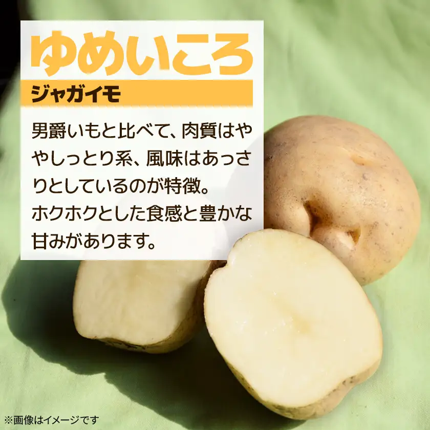 【北海道訓子府町】ゆめいころ(ジャガイモ)5kg+玉ねぎ10kg【配送不可地域：離島・沖縄県】【1771324】