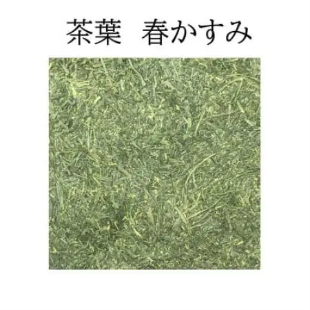八女茶 深蒸し仕立て 春かすみ100g×2本【1790017】
