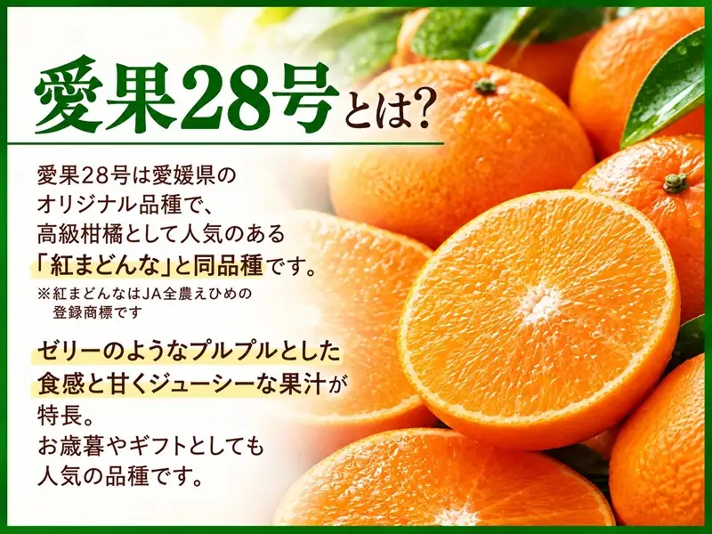 【2026年11月下旬より発送予定】愛果28号 M〜3Lサイズ混合 2.5kg｜B578