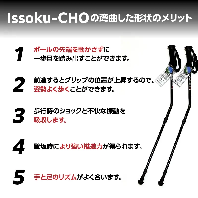 ウォーキングポール Issoku-CHO（1足長） オールブラック 2本1セット R17035