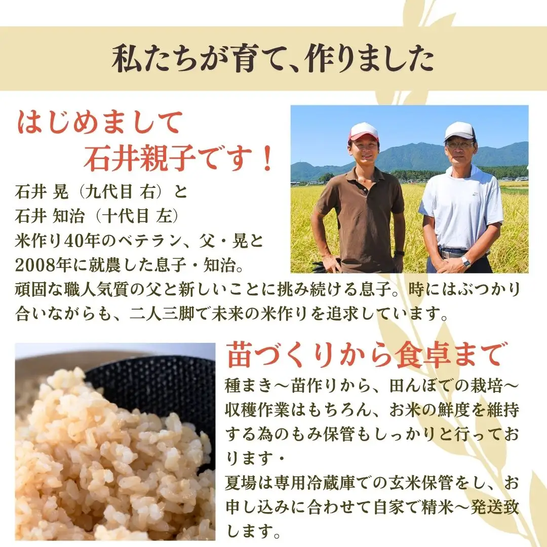令和8年産新米先行予約 コシヒカリ 玄米 30kg (10kg×3袋) 弥彦村 石井農園 | コシヒカリ 新潟県