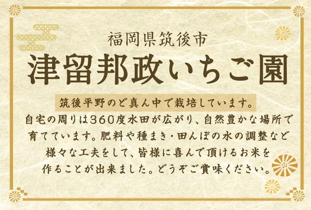 津留いちご園のお米 白米 農薬 ・ 化学肥料不使用 ( 栽培期間中 ) 10kg 米 ご飯 白飯 おにぎり 和食 国産 福岡県産 【 2026年11月上旬-2027年10月下旬発送予定 】