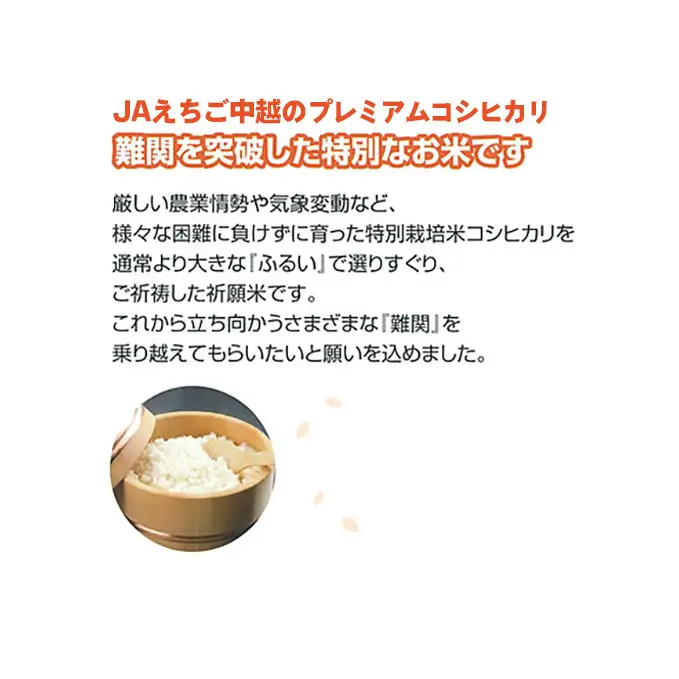 令和8年産 難関突破米 5kg お米 コシヒカリ新潟県田上町