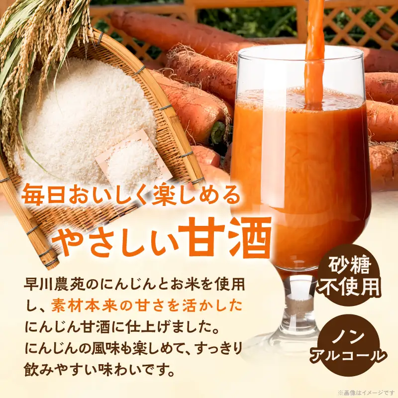 人参甘酒 5個 セット にんじん あま酒 にんじん甘酒 砂糖不使用 ノンアルコール 甘酒シャーベット 炭酸割 牛乳割 ホット甘酒 パウチ 米麹 お米 濃厚でまろやか ギフト 贈り物 プレゼント 贈答 常温 パックタイプ おすすめ 宮崎県 綾町 送料無料_A0005-017